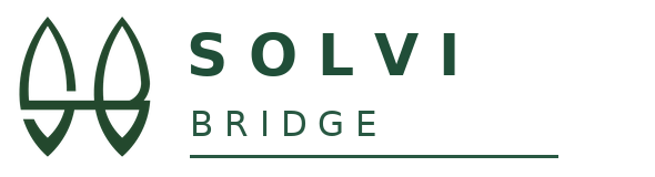 Solvi Bridge